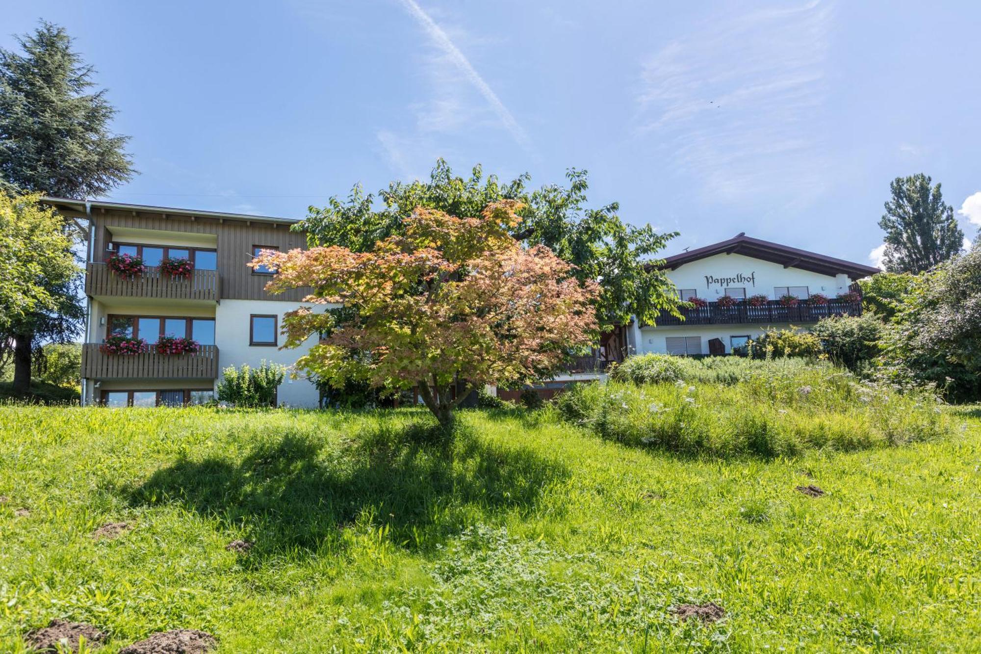 Pappelhof Appartement Bad Bellingen Buitenkant foto